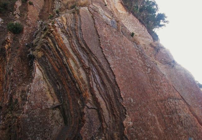 日本最大の「波の化石」の露頭