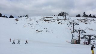 自然雪は少なくブッシュが