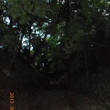 空堀。夕方で写真が暗いのですが・・・