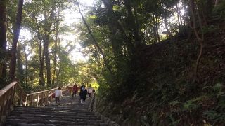 階段を上っていきます