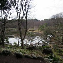 庭園全体を俯瞰すると、その広がりたるや…