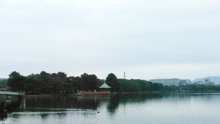 憩いのスポット