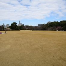 その中央部は、美しく整備された芝生広場になっています