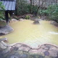 あまり鉄臭くない鉄分多めの柔らかいお湯です