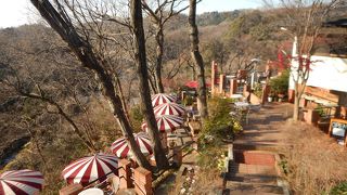 樹ガーデン…ハイキングの途中で一休み