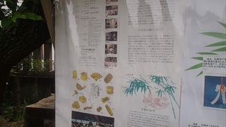 福よせと言って、かき集めた福を集めるという意味を持った縁起物です。行った際には、他にも授与品が有りますので、ぜひ、一度