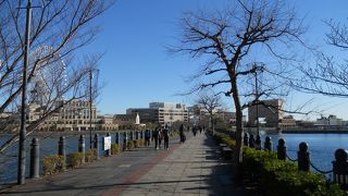 最高のお散歩コースです