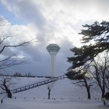 五稜郭側からタワーを望む