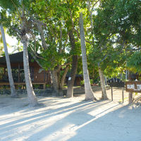 ３時半頃から鳥のさえずりが聞こえる最高？の雰囲気(^_^;)