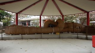 すごい迫力でした