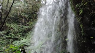 亜熱帯の森に落ちる滝の迫力