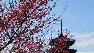 関東最古の五重塔