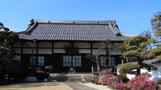 境内には盆栽の様な梅が咲いていた