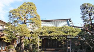 本門寺総門の前