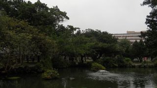 水はあまり綺麗ではありませんが・・