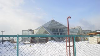 熱帯植物よりもお猿さん