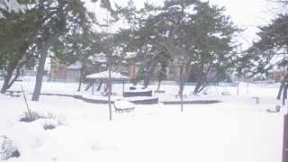 雪で何が何かわかりません