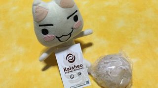 カラヘオ 鵠沼店