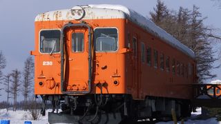 寒し。帯広空港にレンタカー返却の途中に30分ほど寄ってみました。