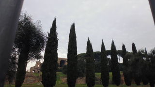 チルコ・マッシモの隣