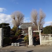 近藤勇の墓がある。