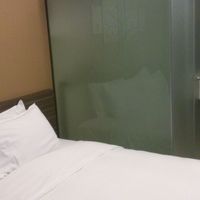 角度を変えて撮影。曇りガラス左側がシャワーで右側がトイレ。