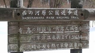 温泉が流れる川沿いに足湯もあります