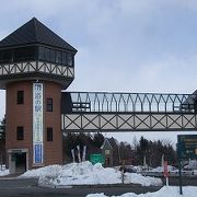 道の駅 草津運動茶屋公園に車を駐めて