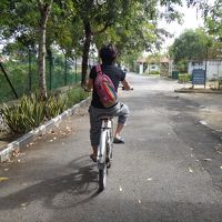 自転車を借りて街へくり出そう！