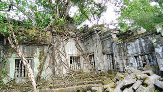 有料特別ガイド　