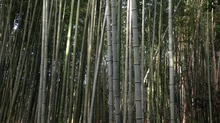 雰囲気が台無し