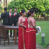 朝、ホテルの庭で結婚式を挙げていました。