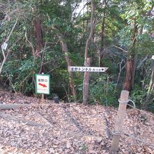 釜野口から登ってきました