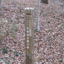 かながわの美林５０選なんですね