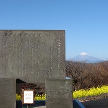 吾妻山公園の由来