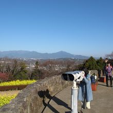 展望台には備え付けの双眼鏡があります（無料？）