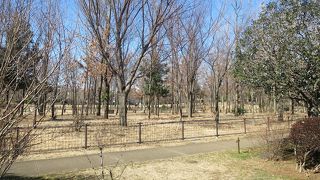 住宅街の広々とした公園