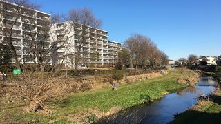 意外と川幅あります