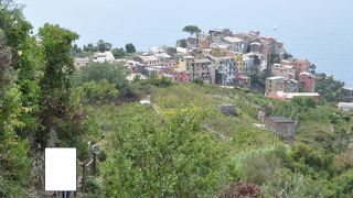 上からマナローラが見渡せます