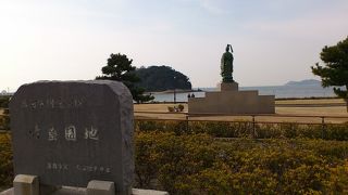 カモメ飛んでる