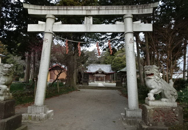 小さな神社だが歴史ある