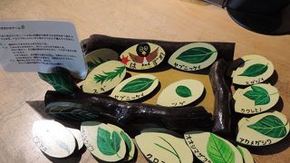 八丈島の自然が全て分かる