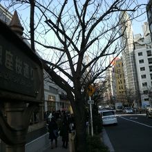 銀座桜通りの標識と通り沿いに植えられた桜の木の様子です。