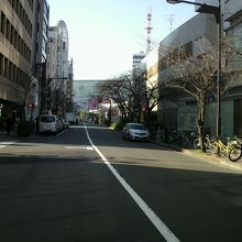 銀座桜通りと歩道の桜の木の様子です。中央ラインが目に付きます