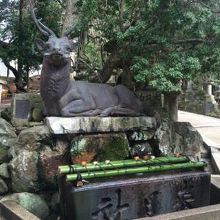 こんなところまで鹿さんが。