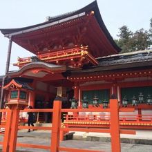 赤がまぶしいです。