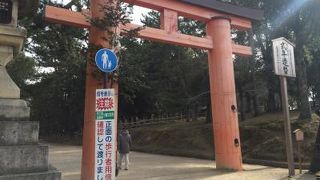 鹿がいっぱい！