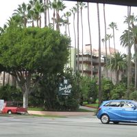イーグルスの名曲 ホテル カリフォルニア のアルバムジャケットのイメージとなった名門ホテルです By Likely Koalaさん ザ ビバリー ヒルズ ホテル ドーチェスター コレクションのクチコミ フォートラベル The Beverly Hills Hotel Dorchester Collection