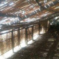 この小屋に潜んで鵜の首を鍵棒でひっかける。外は崖。