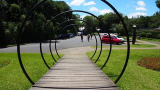 Bosque Zanielli (Unilivre)